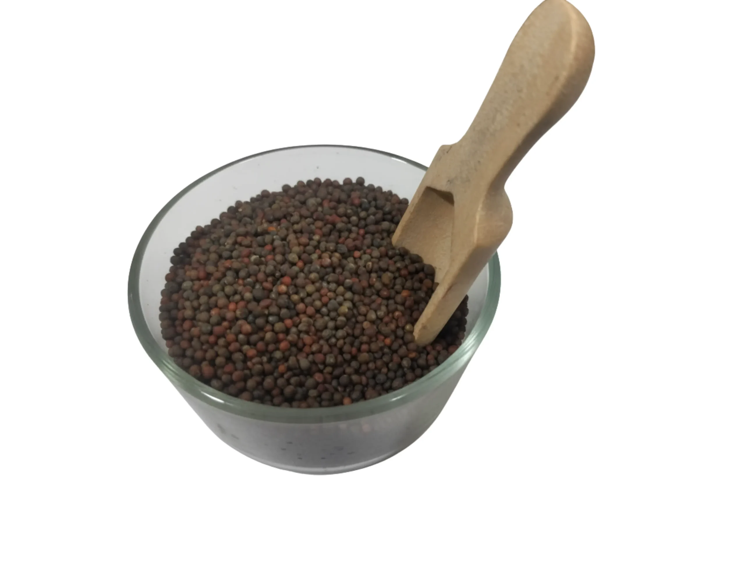 Broccoli Seeds 2 (New)
