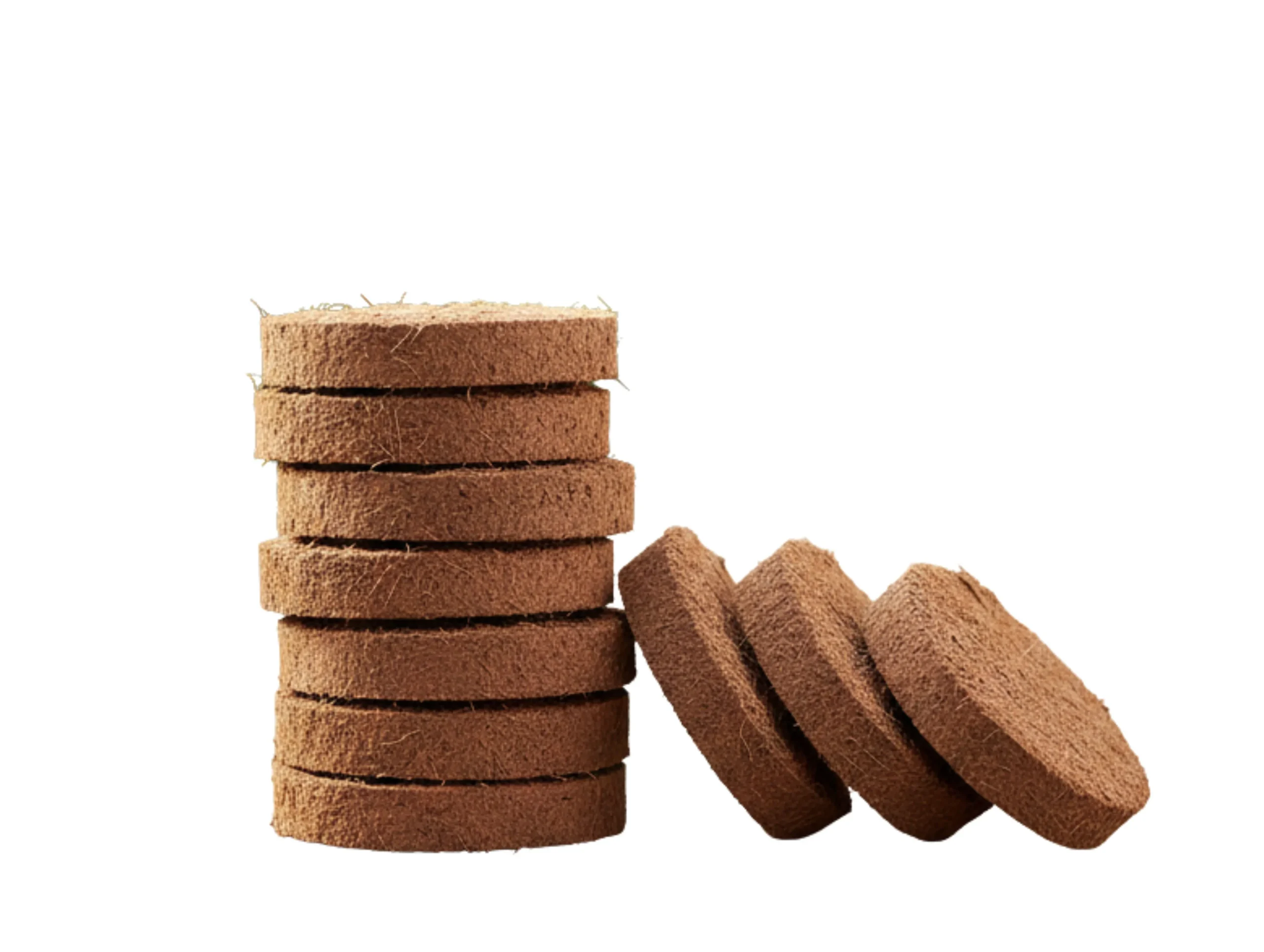 Cocodisc 50mm – 10 Piece Set