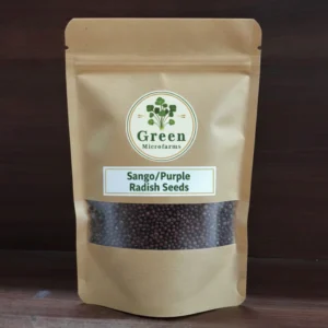 Sango _ Purple Radish Seeds 1