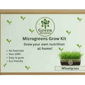 Wheatgrass