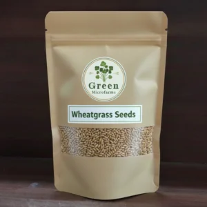 Wheatgrass Seeds 1