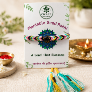 Handmade Braid Plantable Seed Rakhi