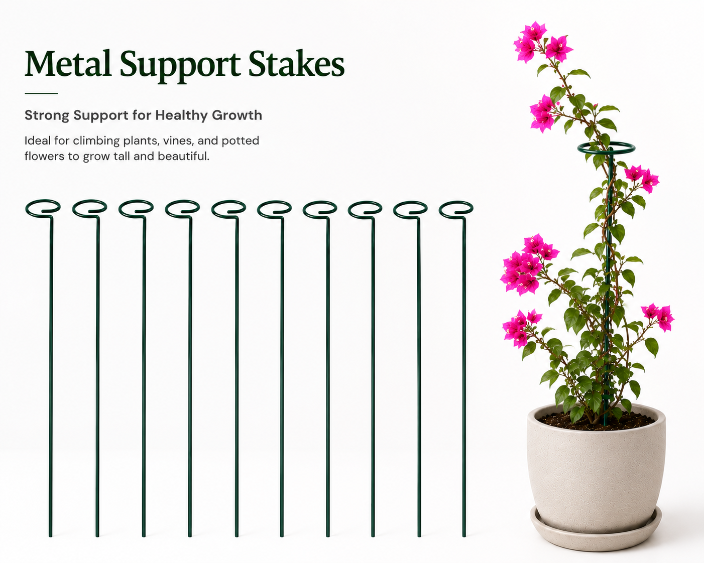 Metal Plant Support Stakes (18 Inch) – Heavy Duty Garden Support Stakes - Image 3