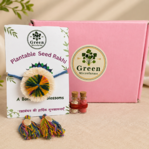handmade plantable seed rakhi